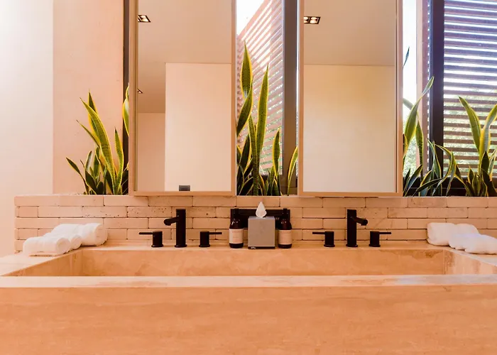 The Palm Luxury Corasol By Lumina